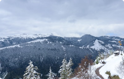 Winter Landschaft